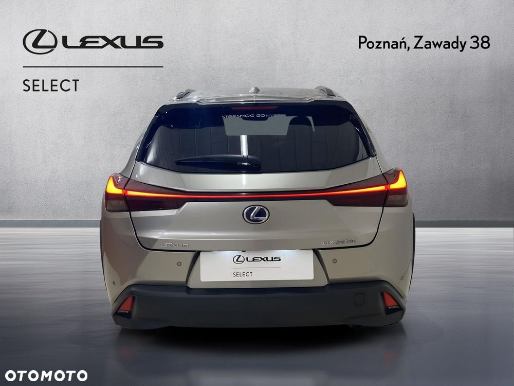 Lexus UX 250h GPF F Impression 2WD - 9