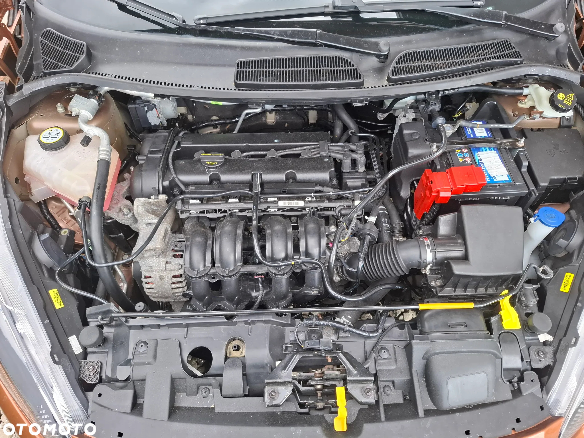 Ford Fiesta 1.25 Gold X - 6