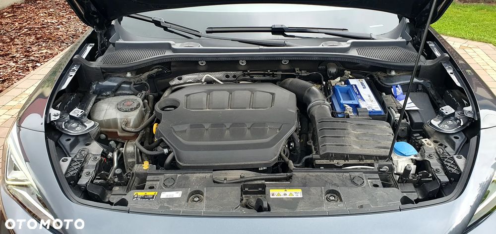 Cupra Formentor VZ 2.0 TSI 4Drive DSG - 19