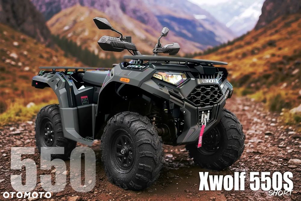 Loncin XWOLF 550 - 1