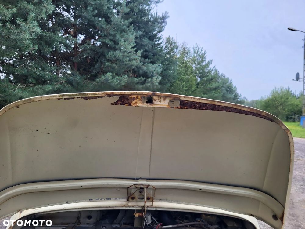Fiat 500 - 16