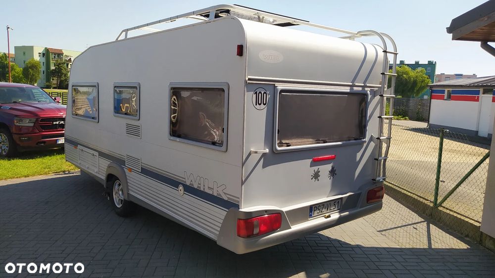 Wilk sport - 2