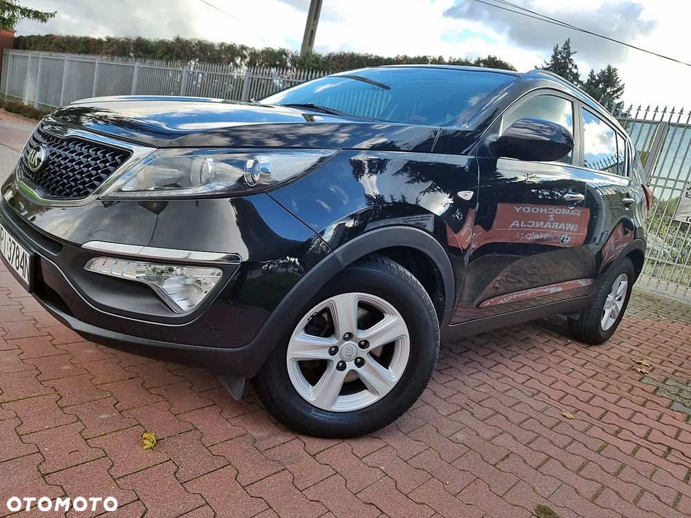 Kia Sportage 1.6 GDI Business Line L 2WD - 16