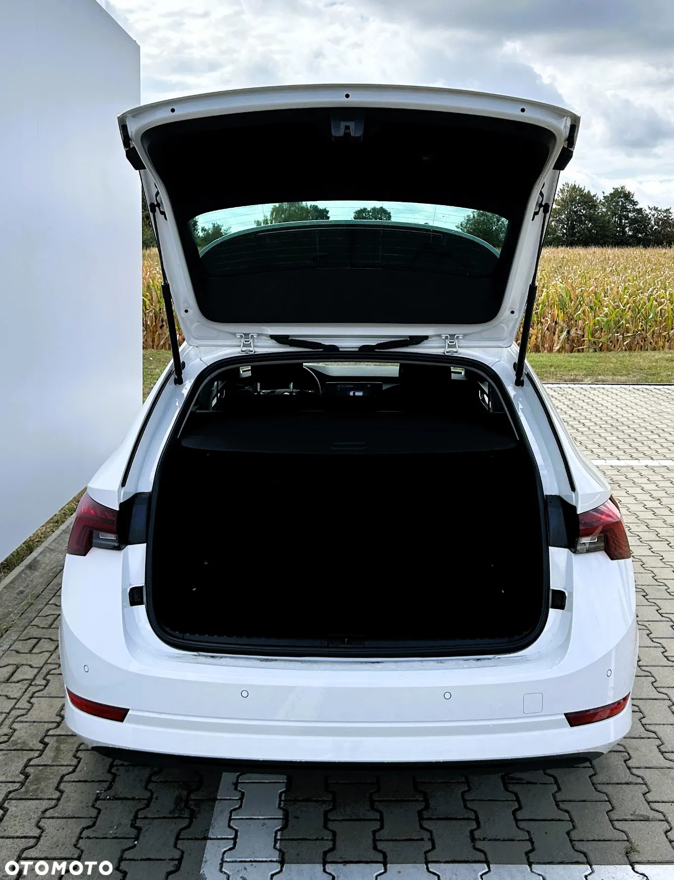 Skoda Octavia 2.0 TDI Ambition - 19