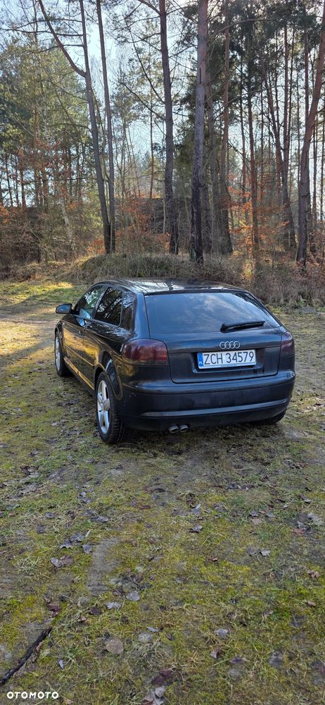 Audi A3 3-drzwiowe - 6