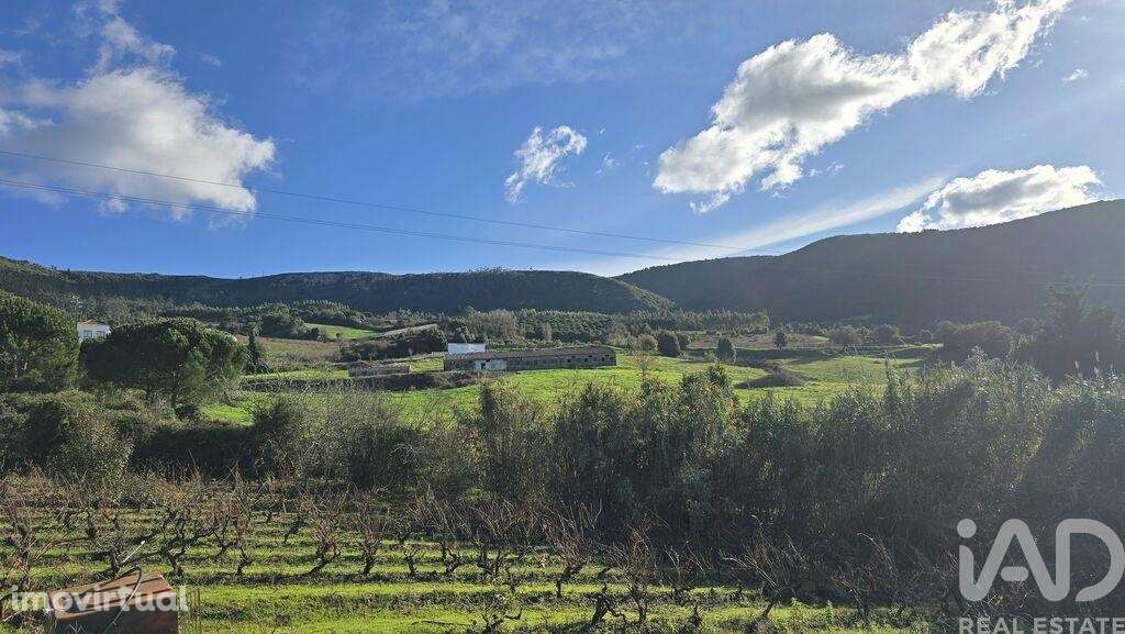 Terreno para construção em Lamas e Cercal - Grande imagem: 2/10