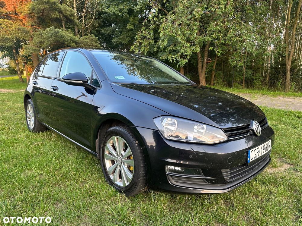 Volkswagen Golf - 17