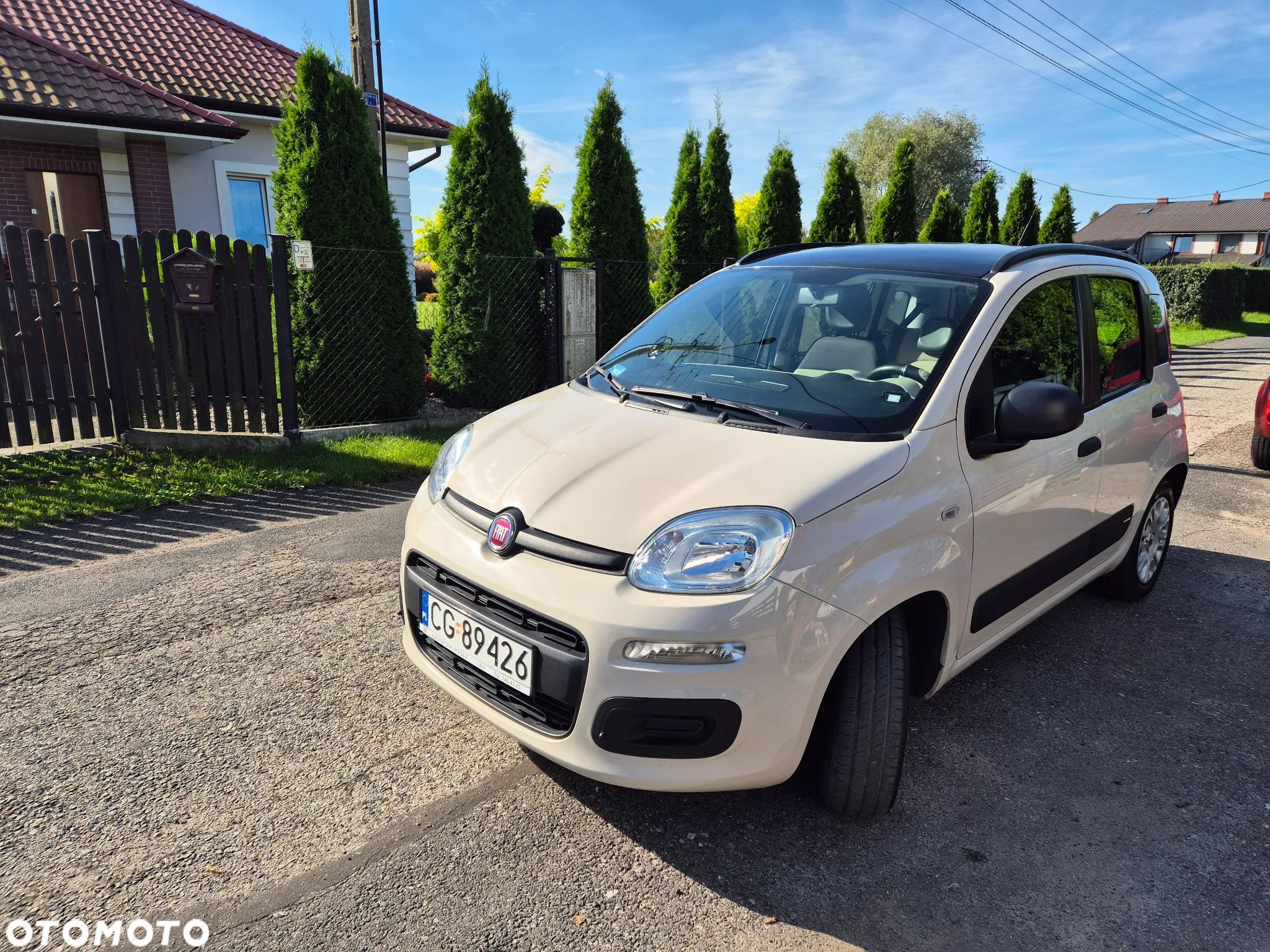 Fiat Panda 1.2 Easy - 1