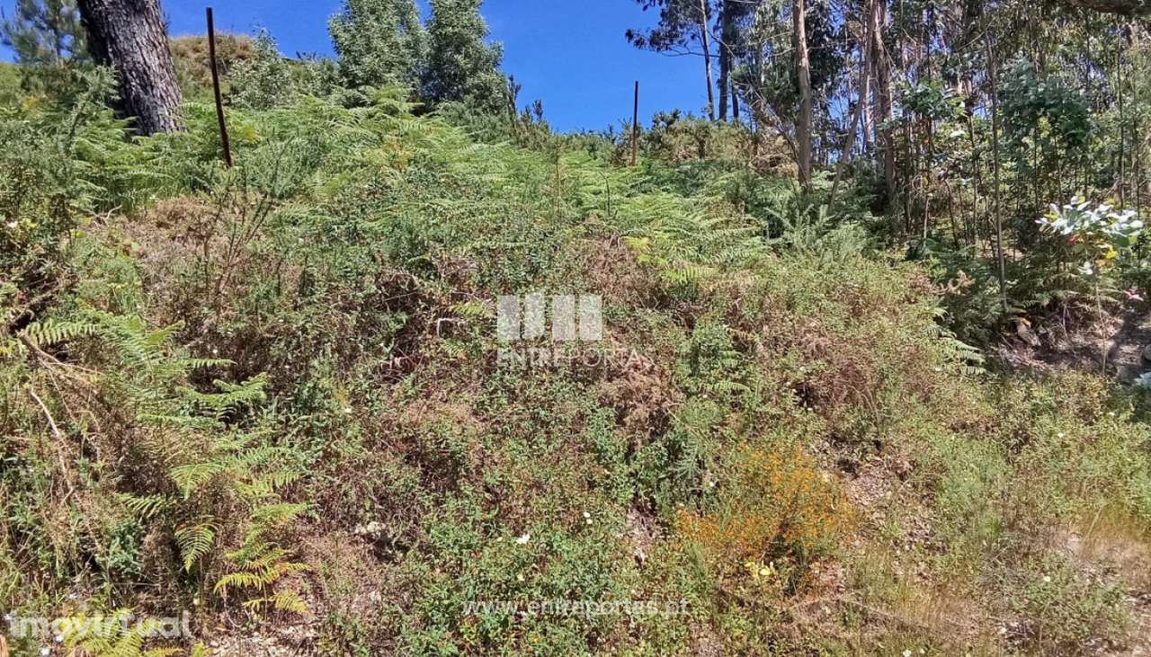 Terreno para venda, Gandra, Valença - Grande imagem: 2/5