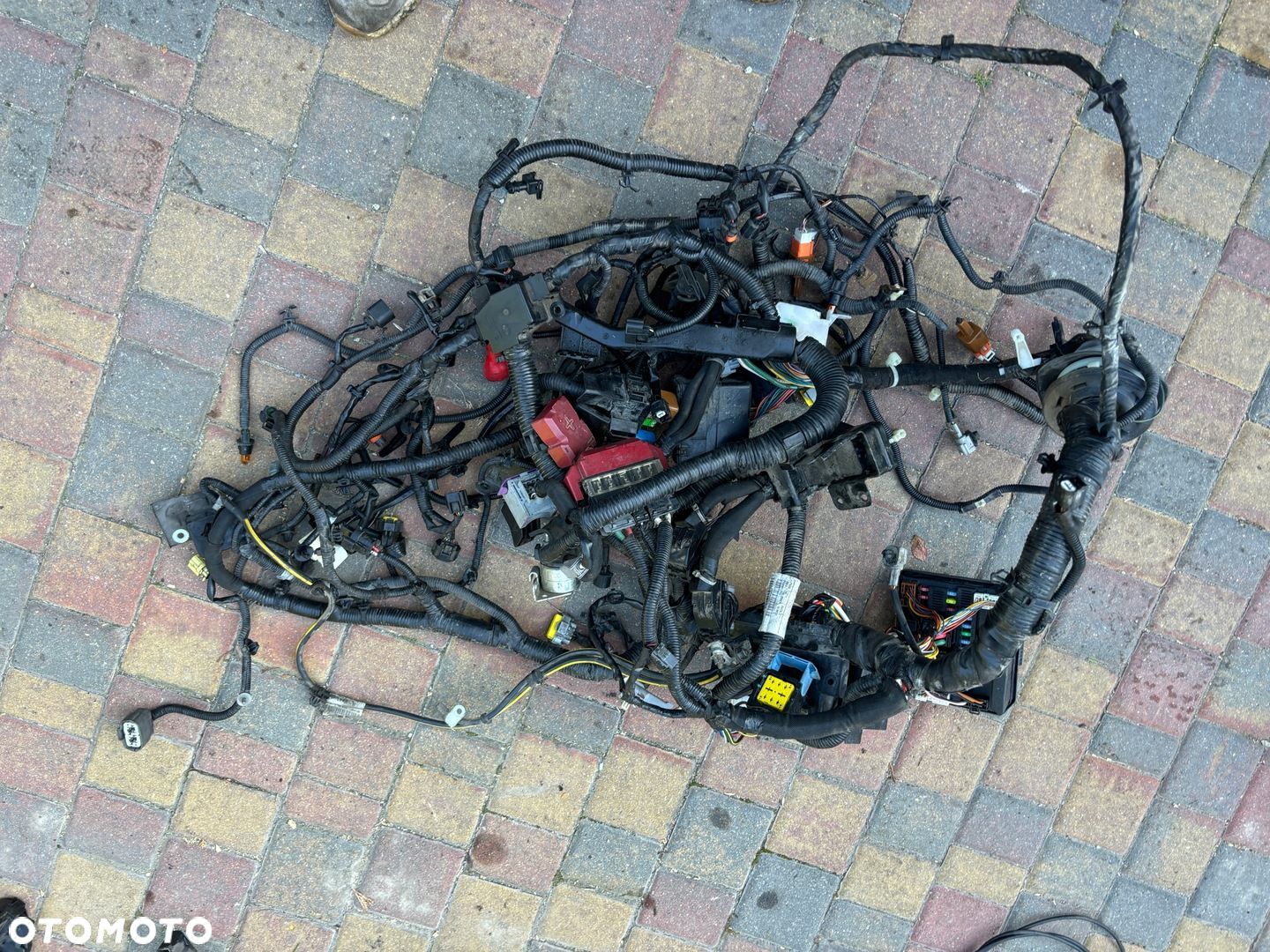 NissanQashqai J10 1.6DCi INSTALACJA KOMORY SILNIKA 24011BB50A EUROPA - 1