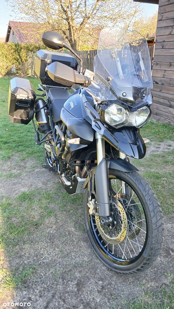Triumph Tiger - 9