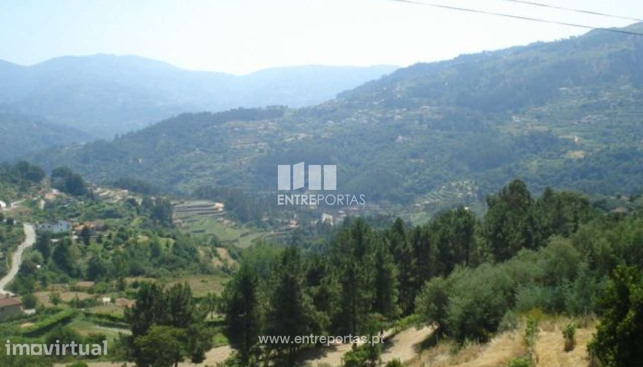 Venda Terreno, vista desafogada, Santa Leocádia, Baião - Grande imagem: 4/30
