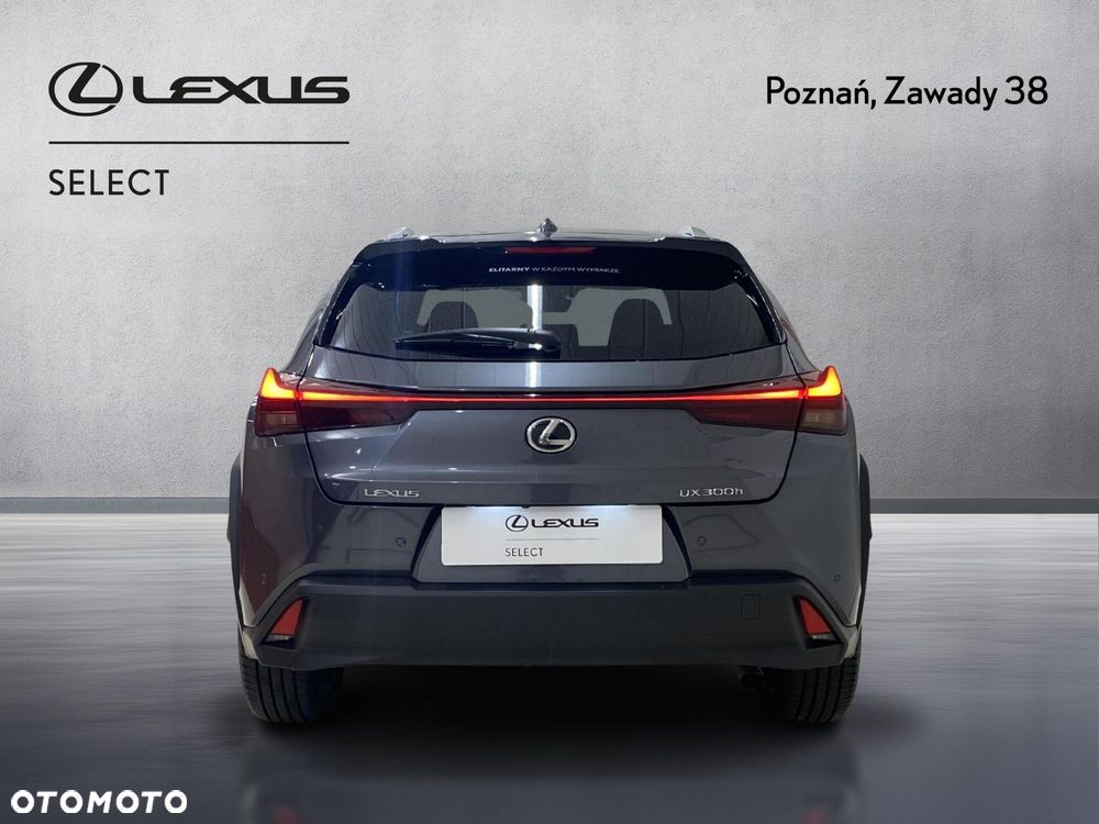 Lexus UX 300h Prestige - 9