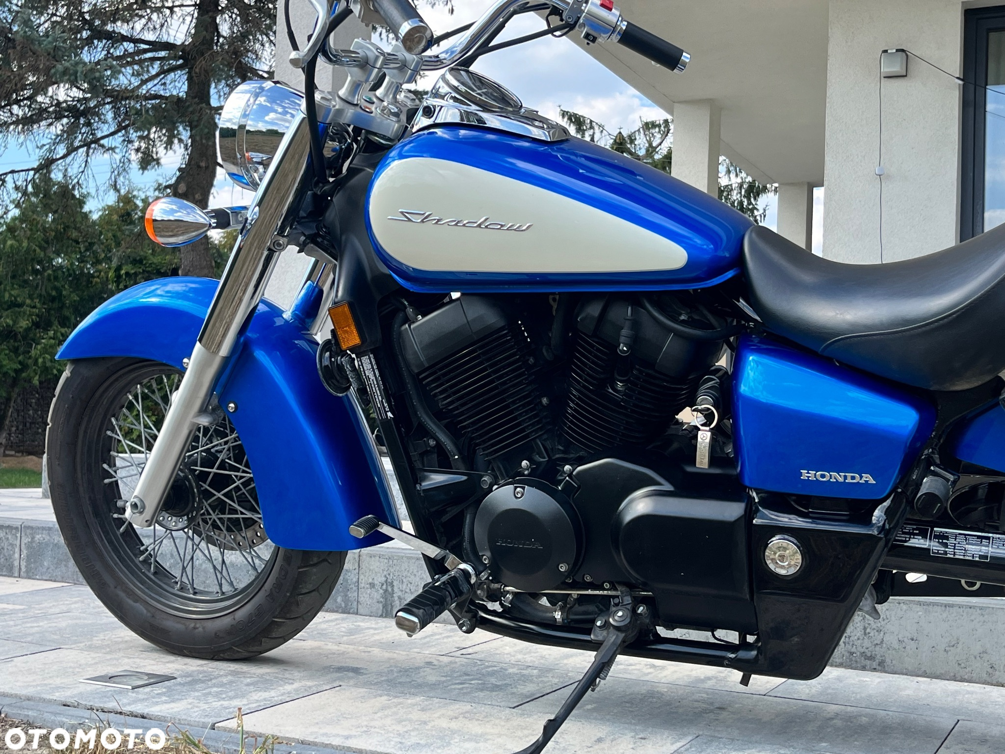 Honda VT - 19