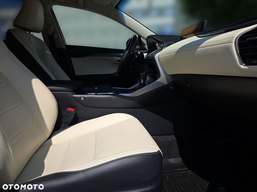 Lexus NX 300 Comfort AWD - 8