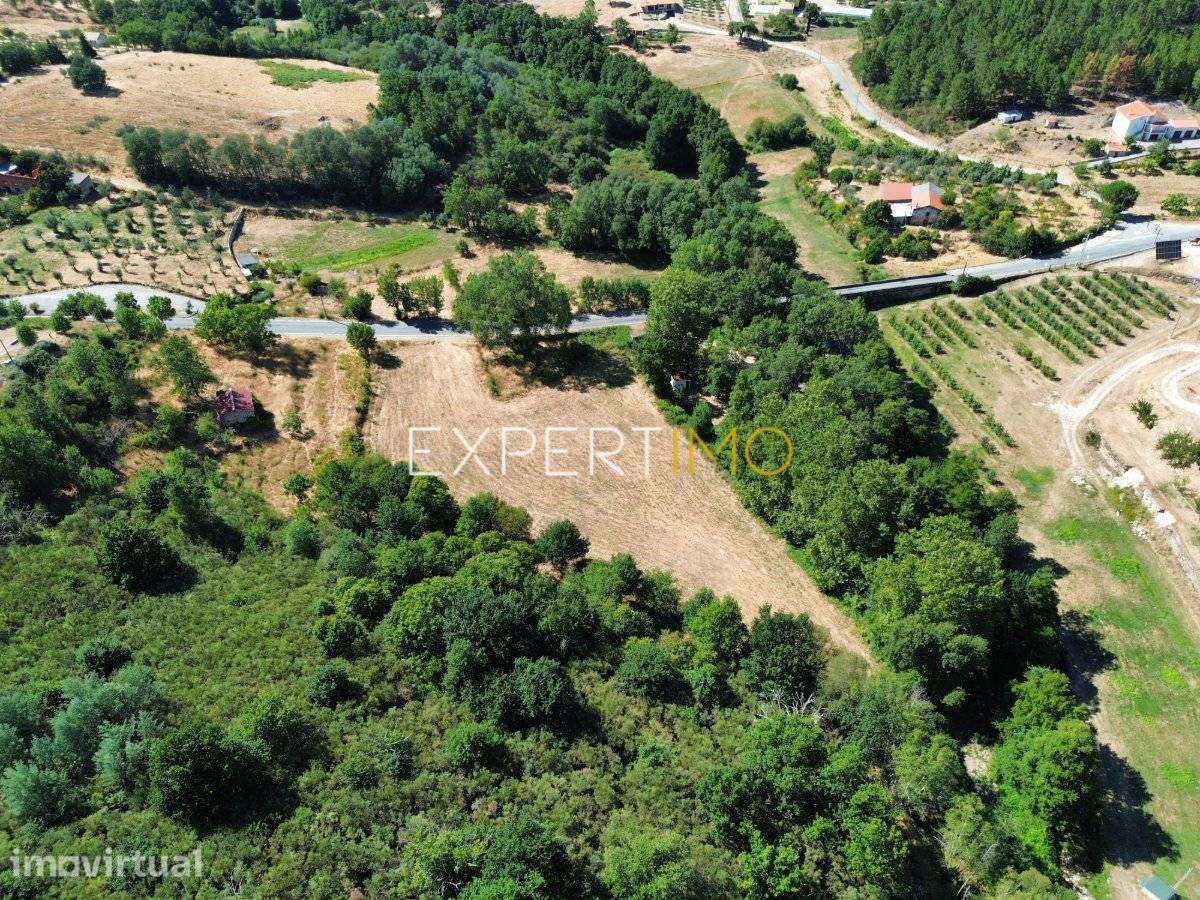 Quinta Mista de 4,8 Hectares com Edificação Urbana, Moinho... - Grande imagem: 5/34