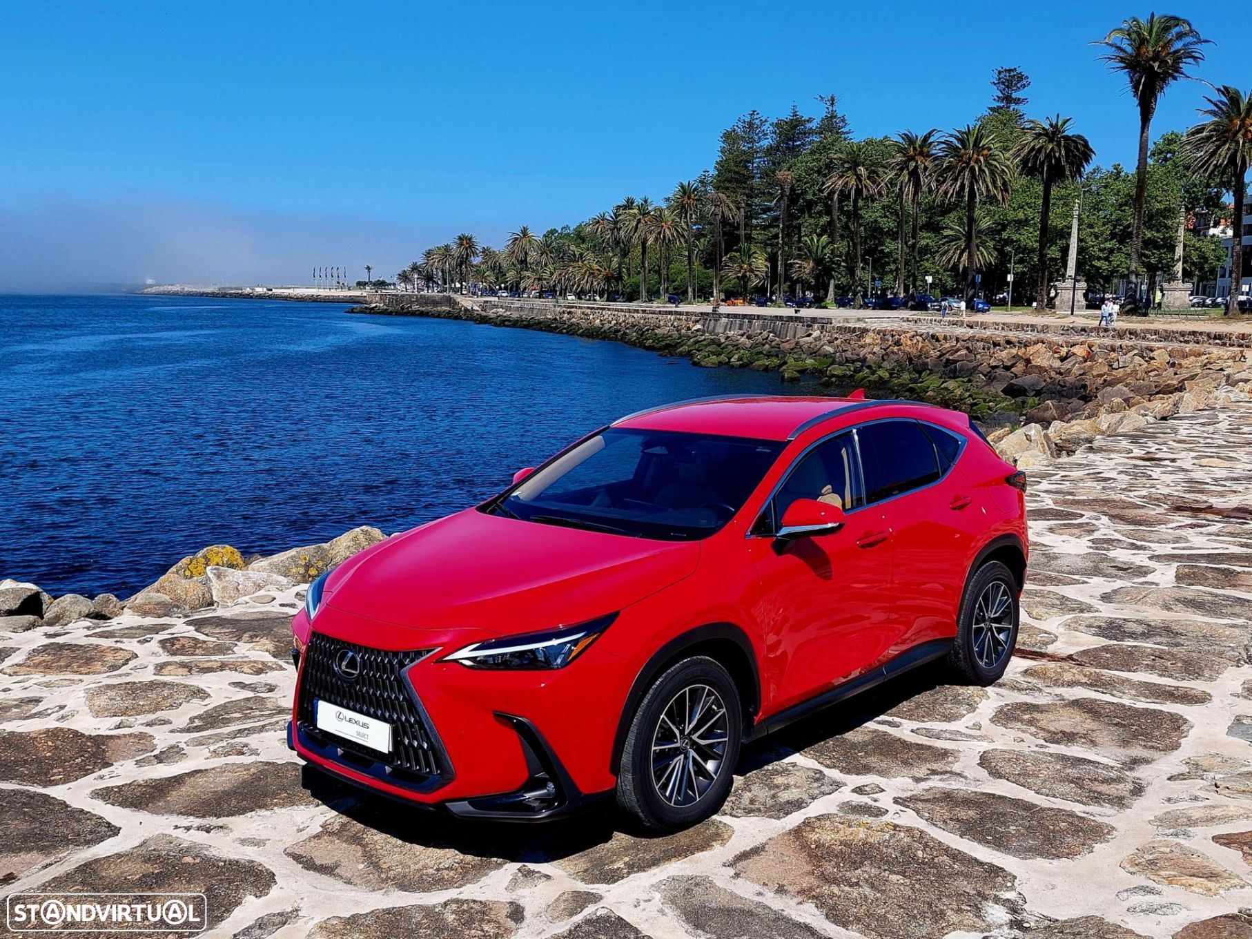 Lexus NX 450h+ - 1