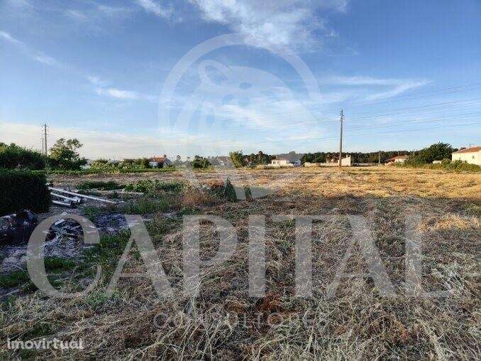 Terreno Usado para Venda - Grande imagem: 2/17