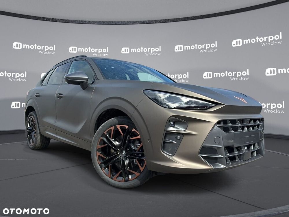 Cupra Terramar - 12
