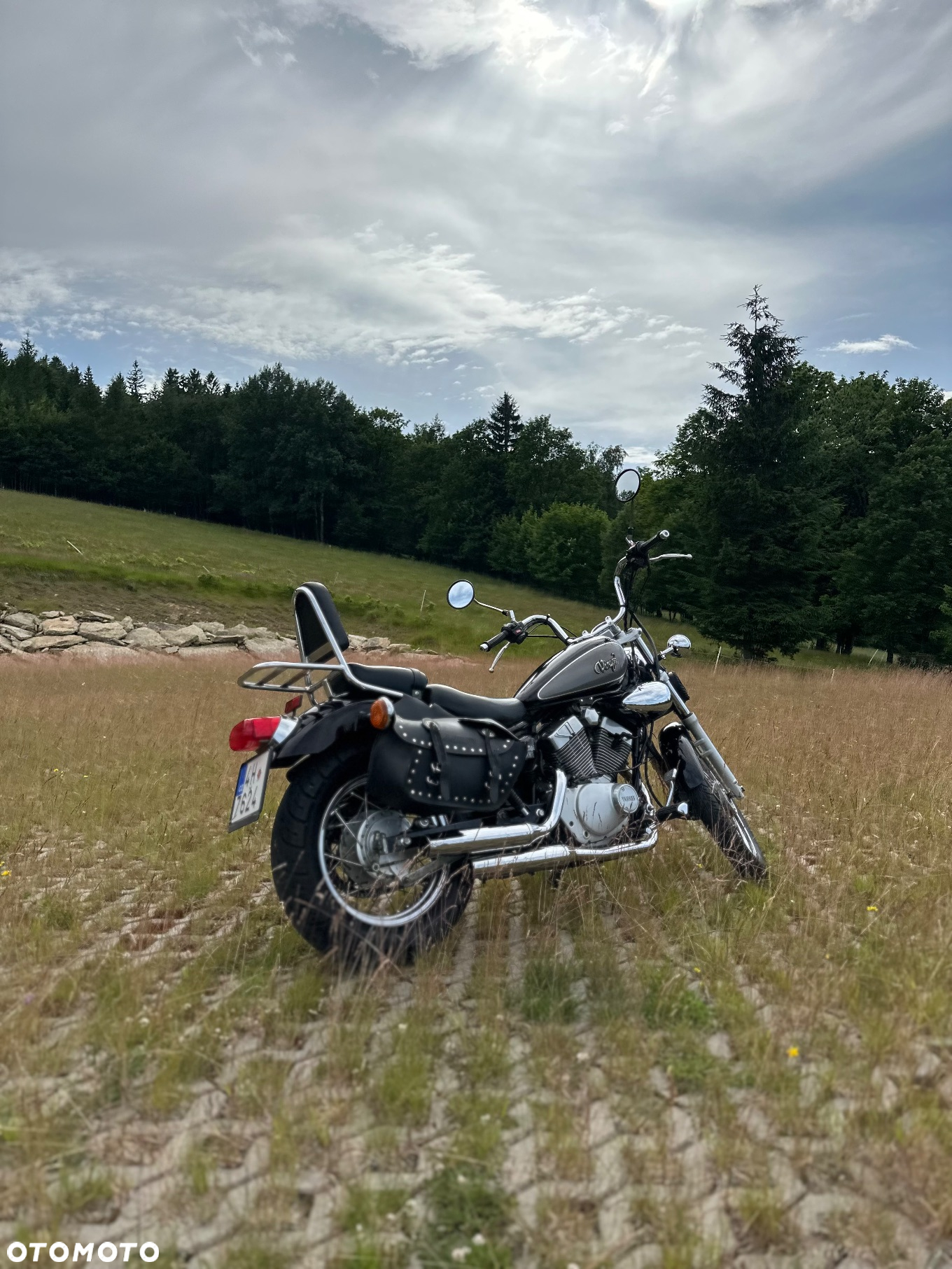 Yamaha Virago - 5