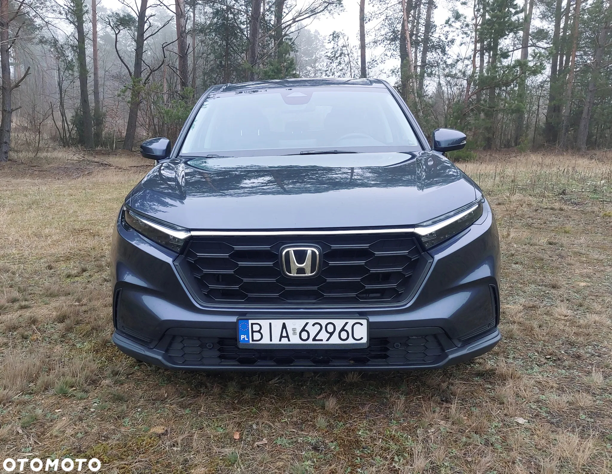 Honda CR-V - 2