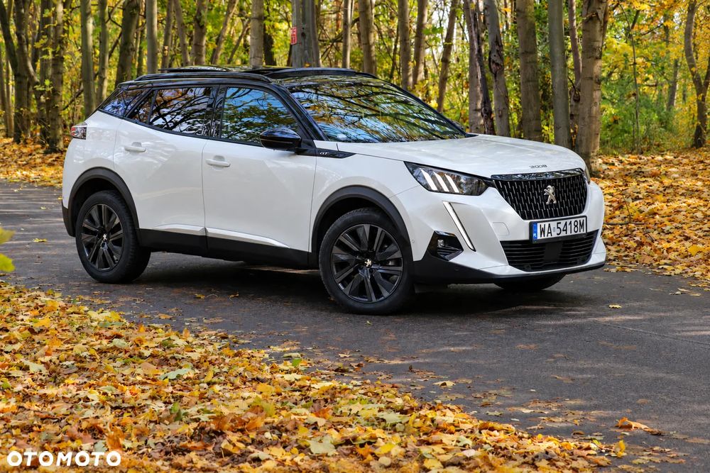 Peugeot 2008 2019 photo 2
