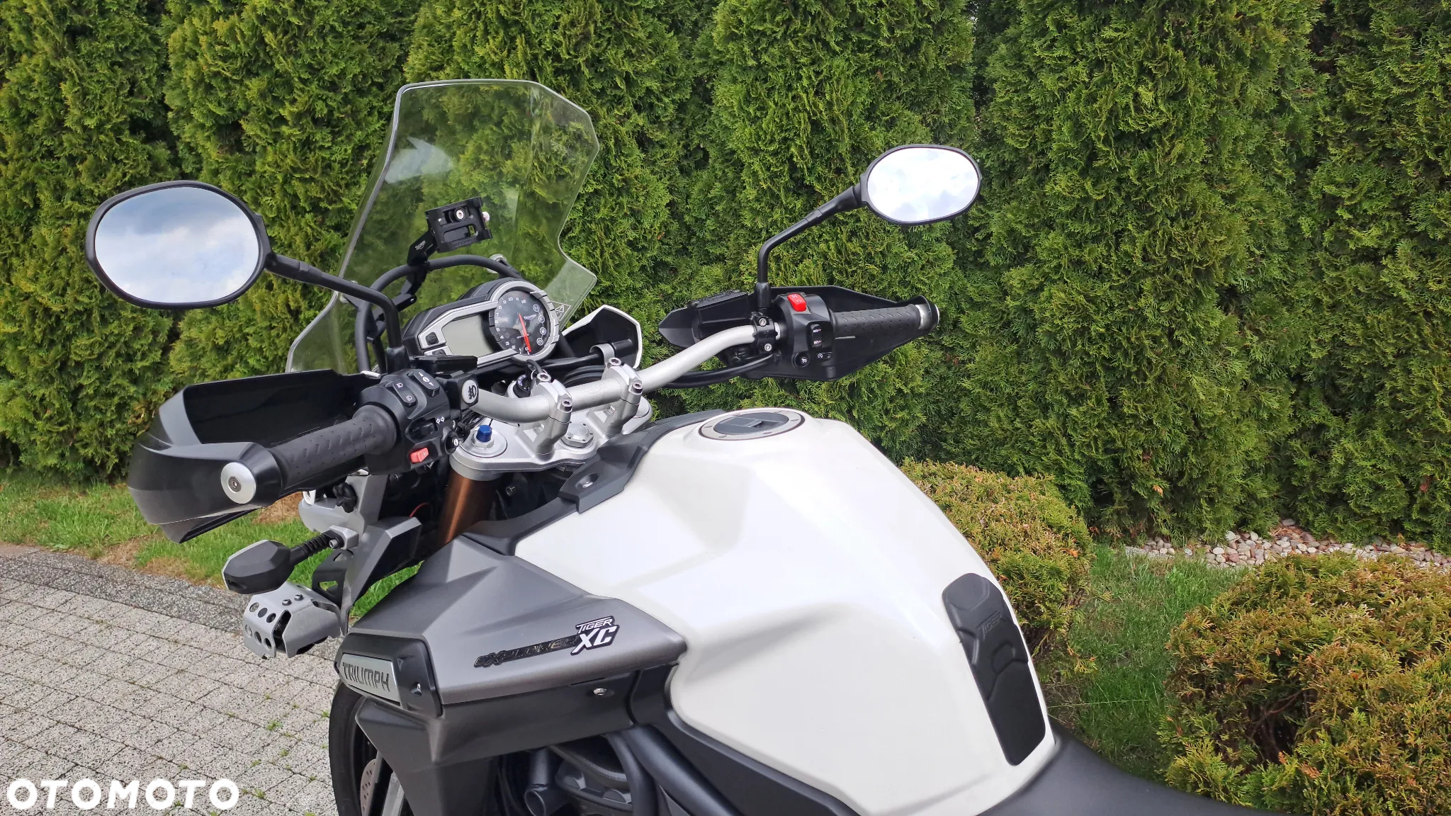 Triumph Tiger - 32
