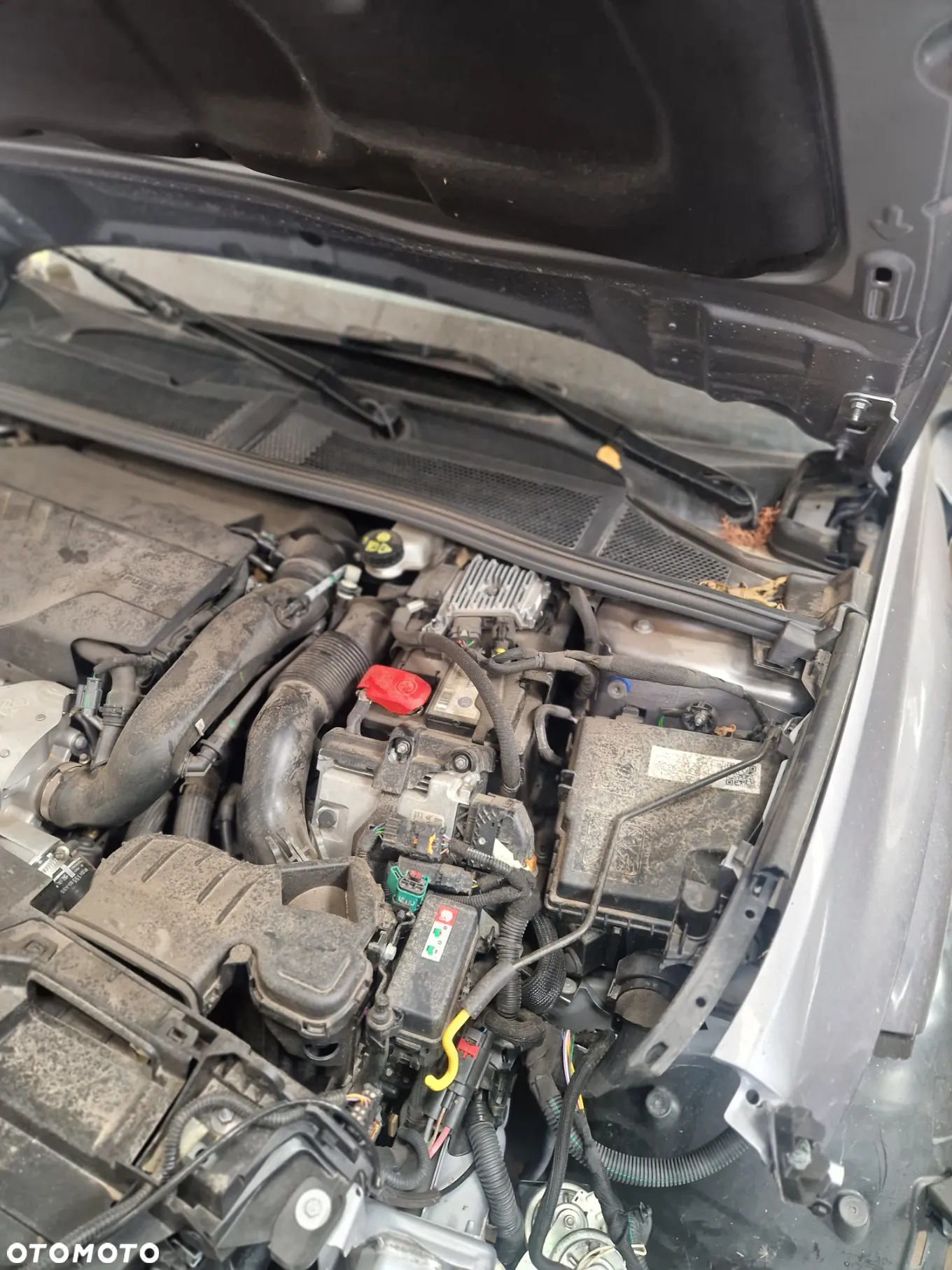Peugeot 308 - 13