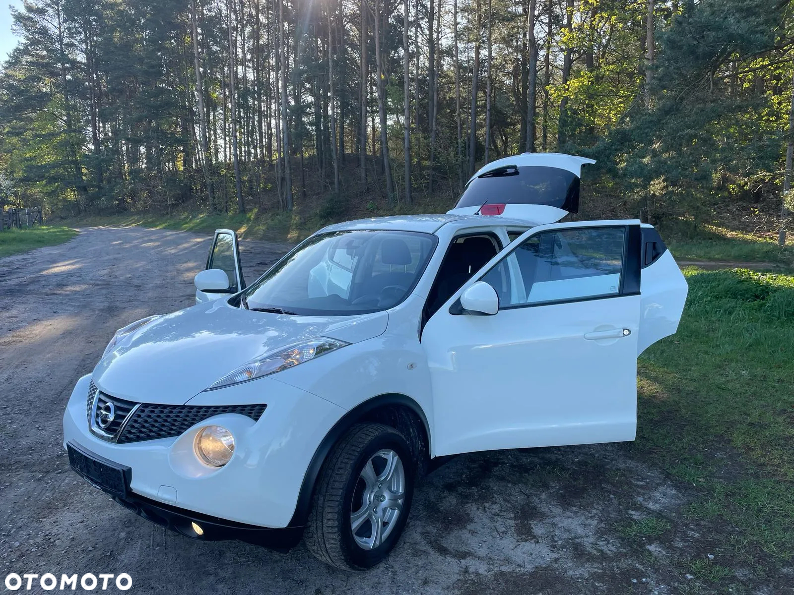 Nissan Juke 1.5 dCi Edition - 23