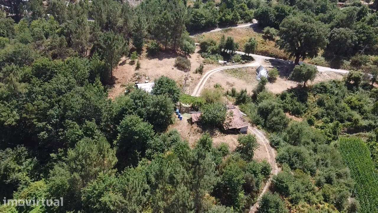 Quinta +/- 42.000 m2 – Oliveira de Frades - Grande imagem: 2/25