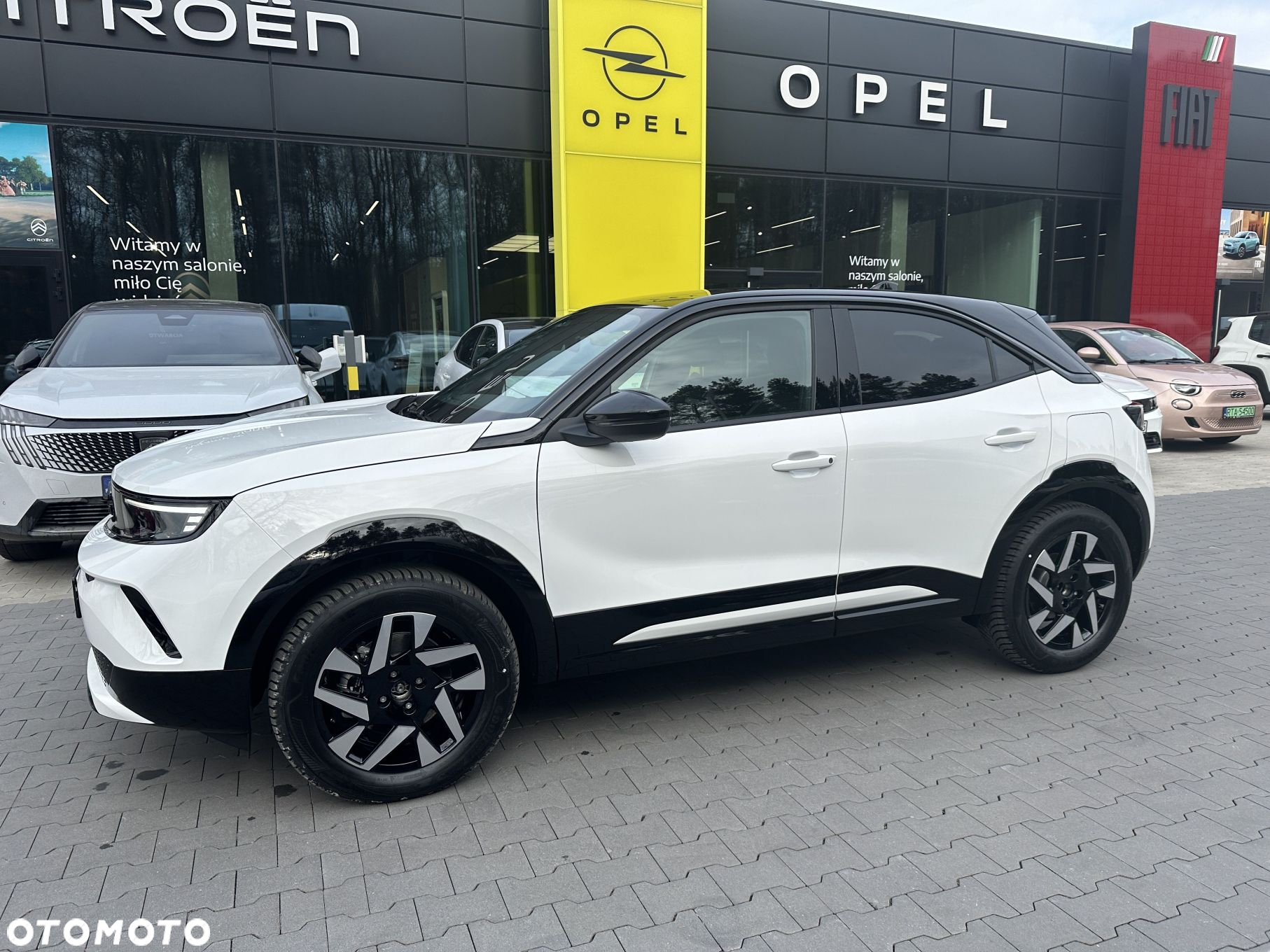 Opel Mokka Mokka-e 54kWh GS - 2