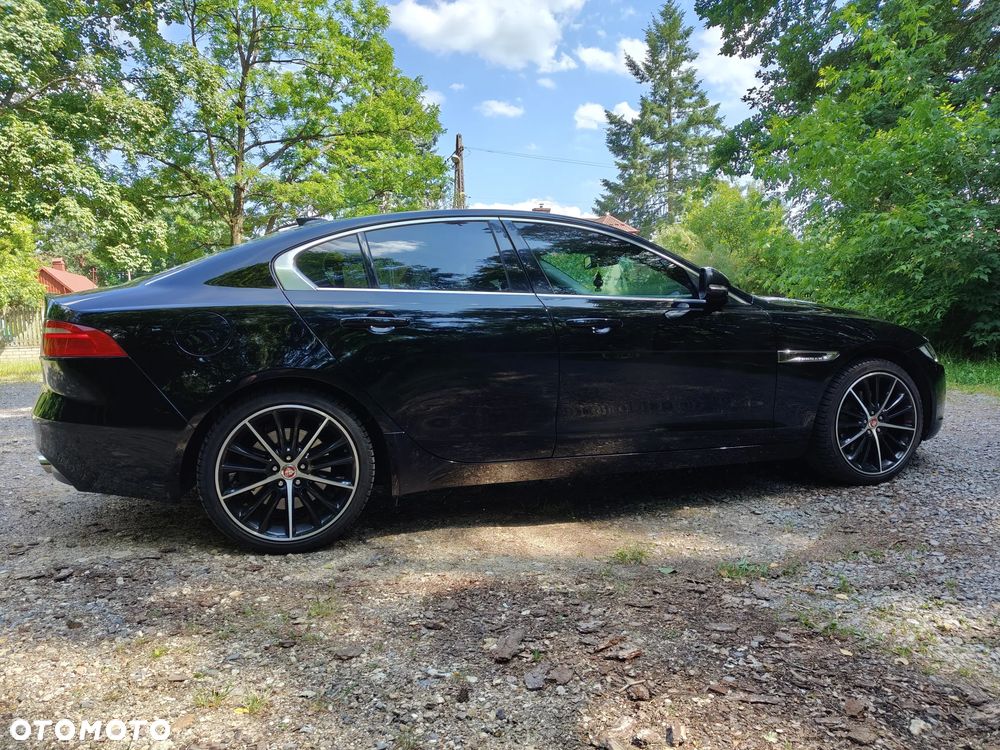 Jaguar XE - 3