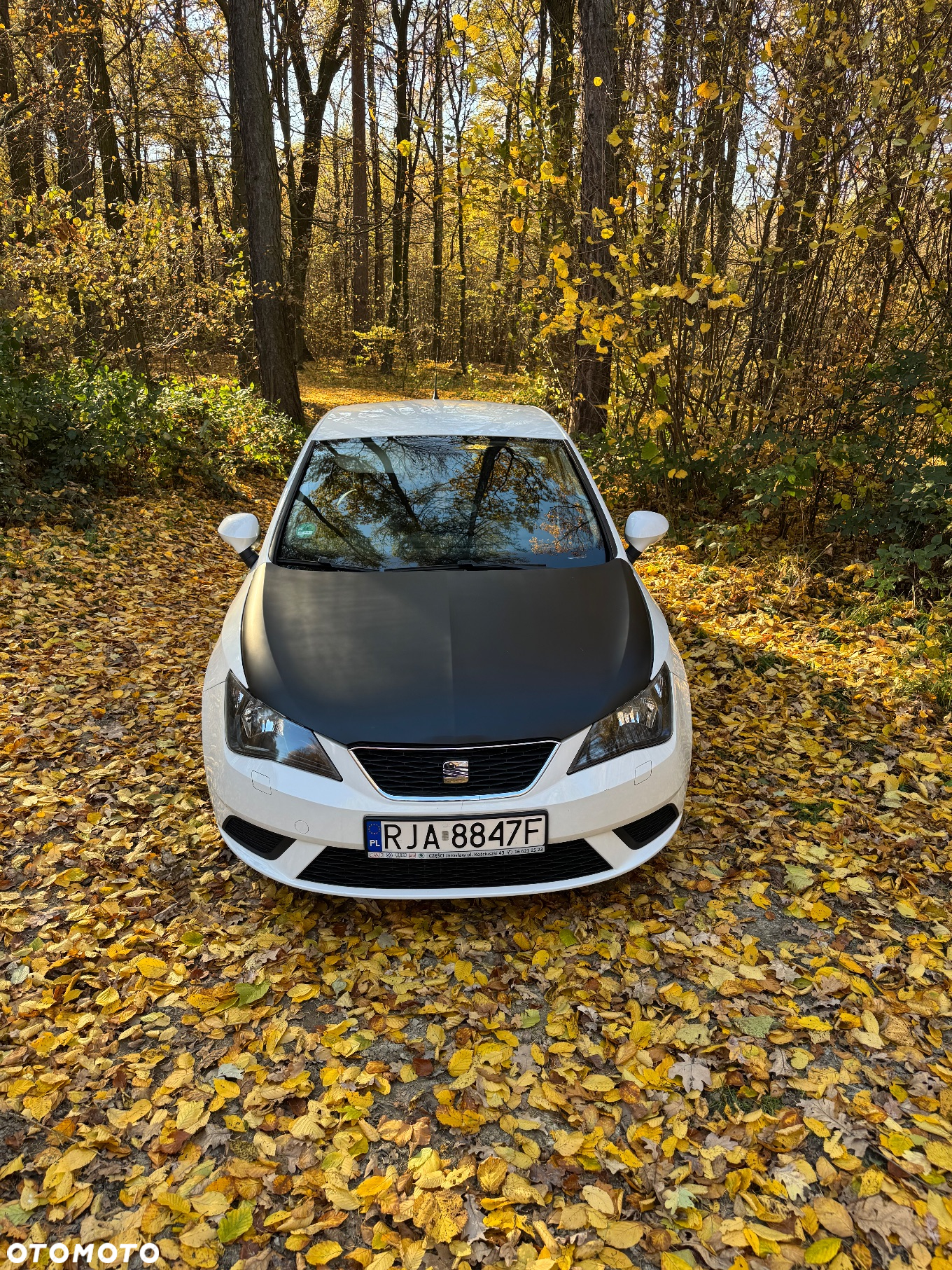 Seat Ibiza - 3