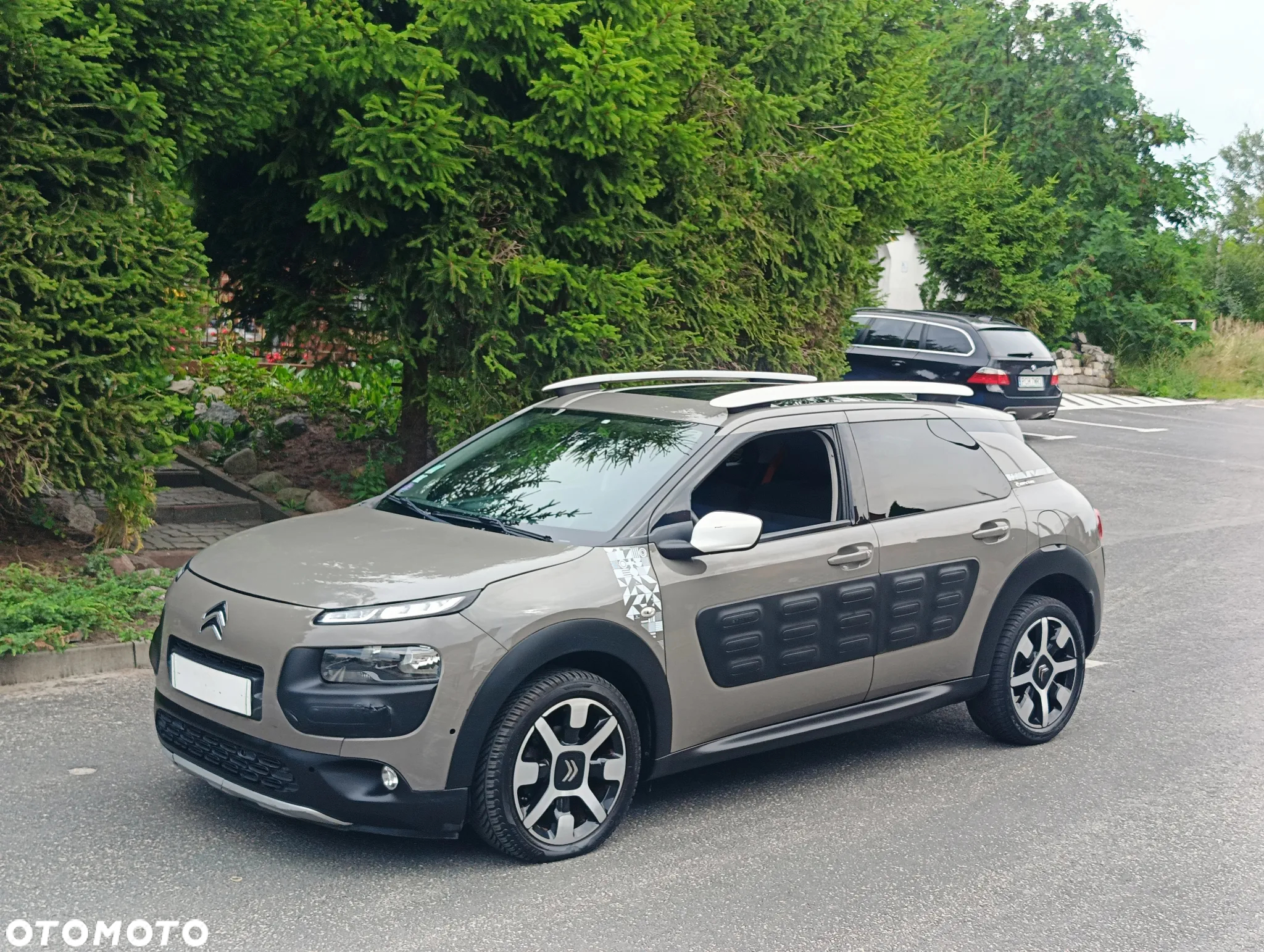 Citroën C4 Cactus 1.2 PureTech Rip Curl S&S - 29