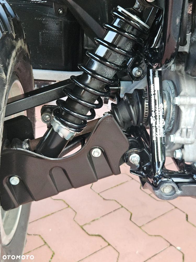 Suzuki Kingquad - 30