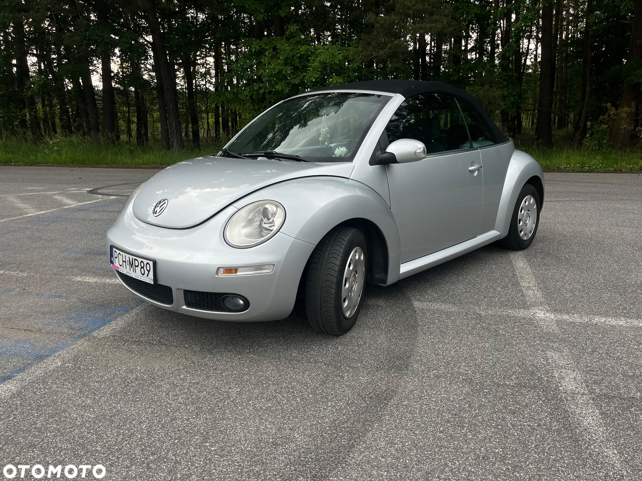 Volkswagen Beetle - 6