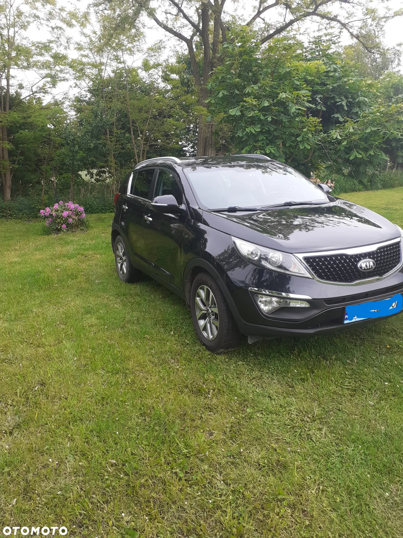Kia Sportage - 24