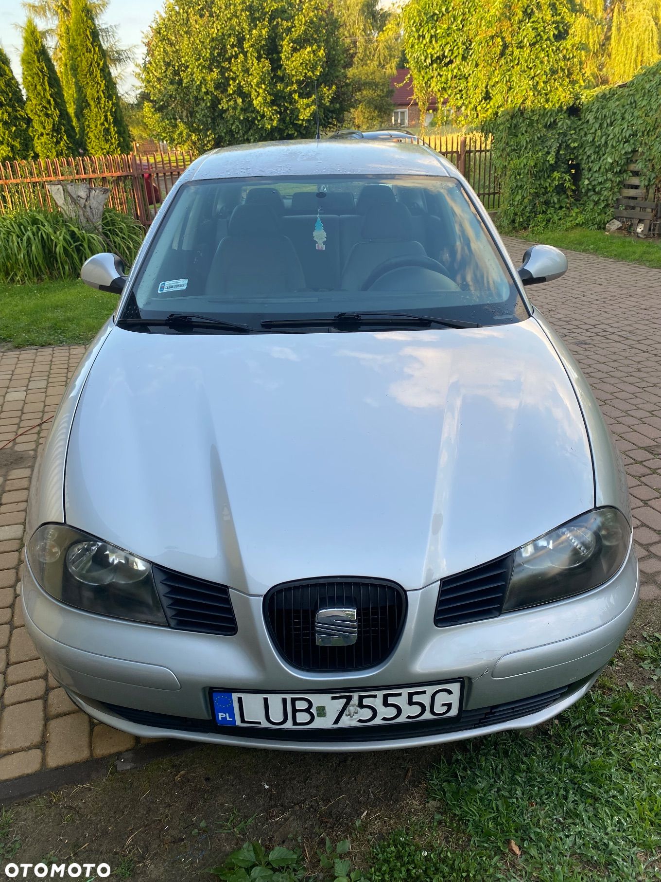 Seat Ibiza - 1