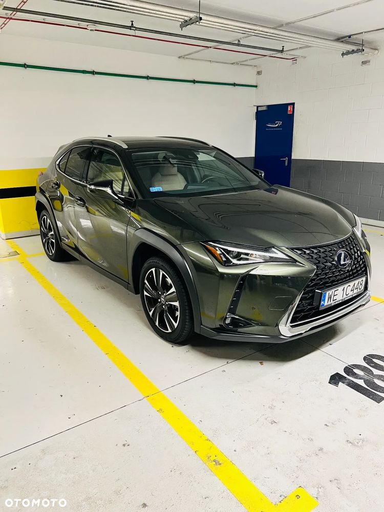 Lexus UX 250h GPF Business Edition 2WD - 2