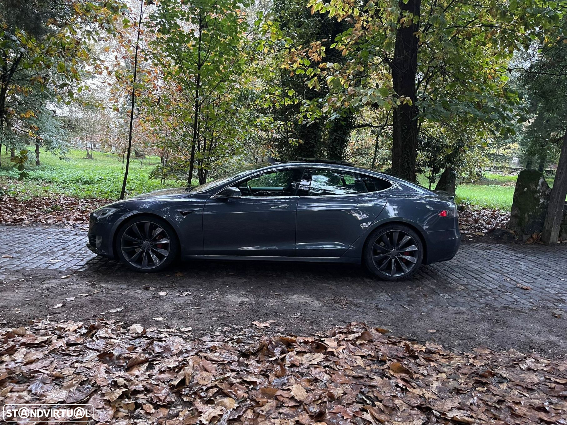 Tesla Model S 90D - 30