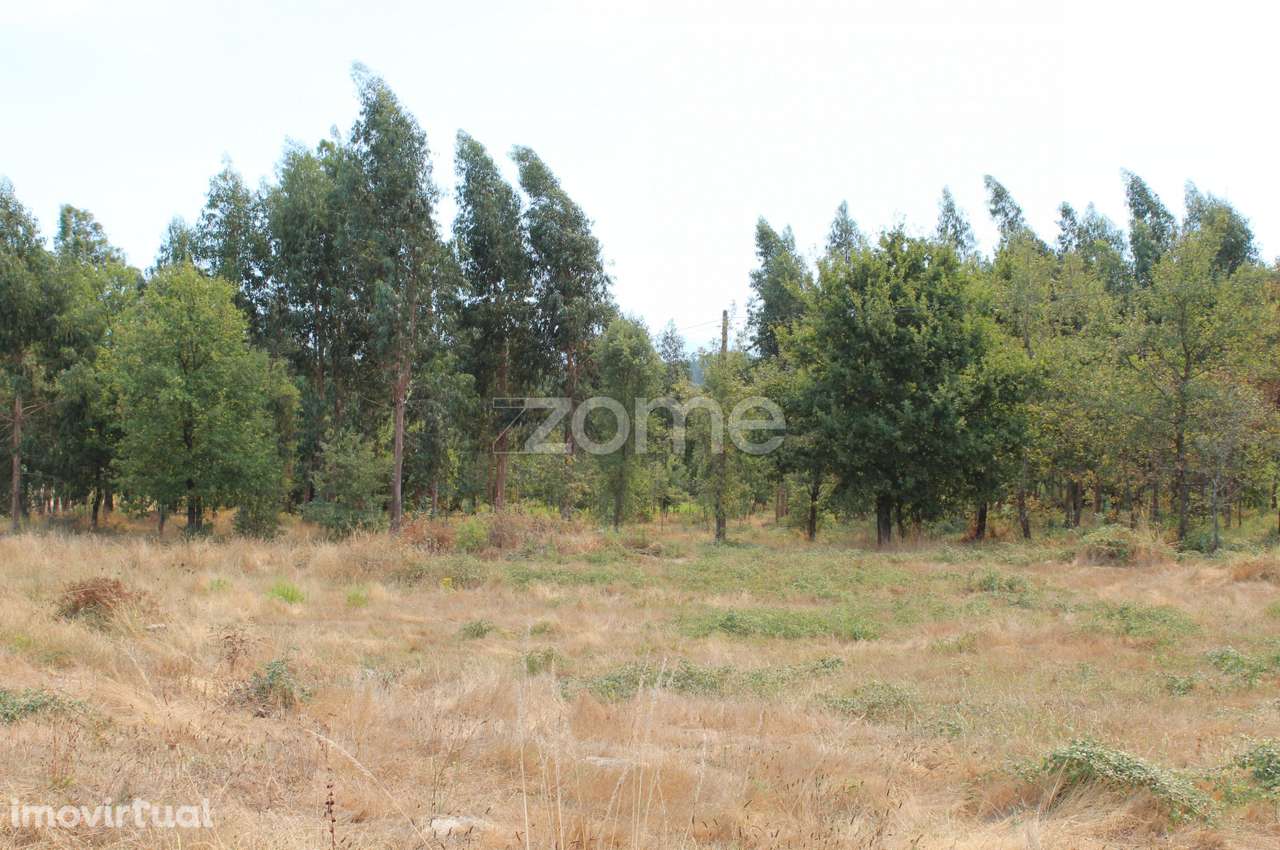 Terreno para construção e exploração agrícola em Paranhos da Beira... - Grande imagem: 5/20