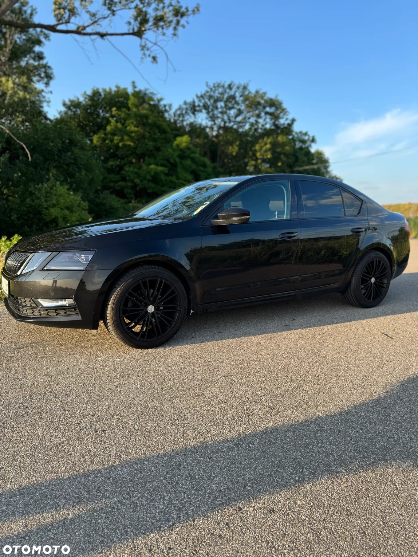 Skoda Octavia 1.5 TSI ACT Ambition DSG - 2