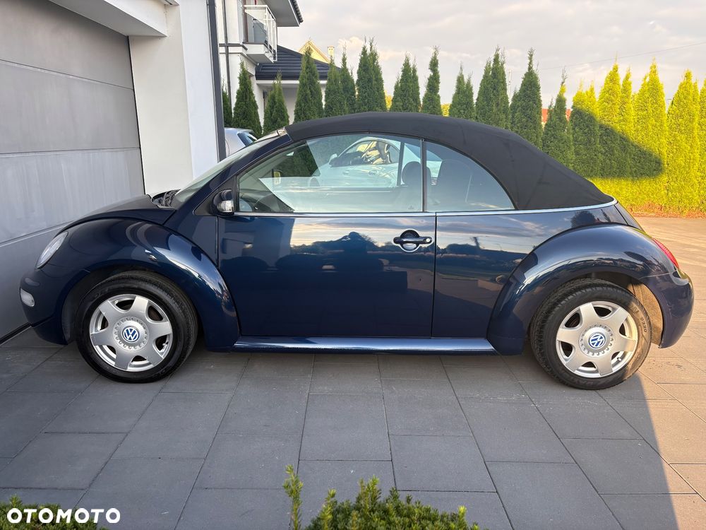 Volkswagen Beetle - 18