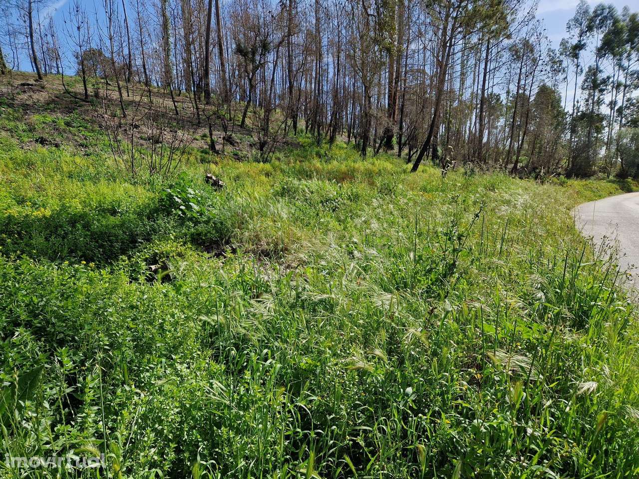 Terreno para construção em Colmeias, Leiria - Grande imagem: 5/8
