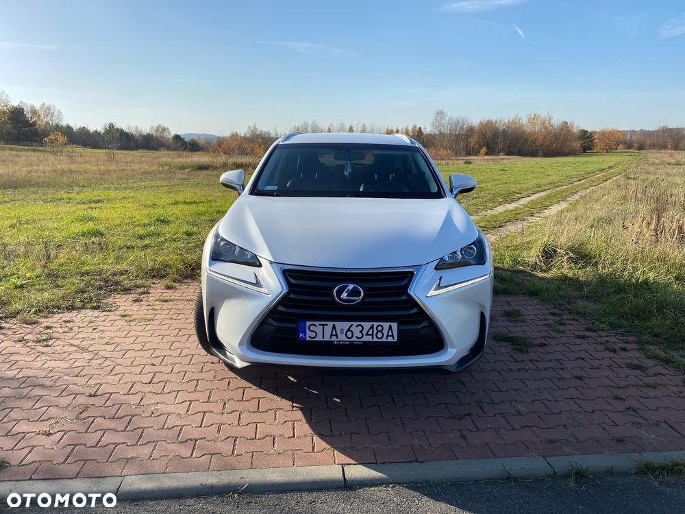 Lexus NX 300h Comfort AWD - 10