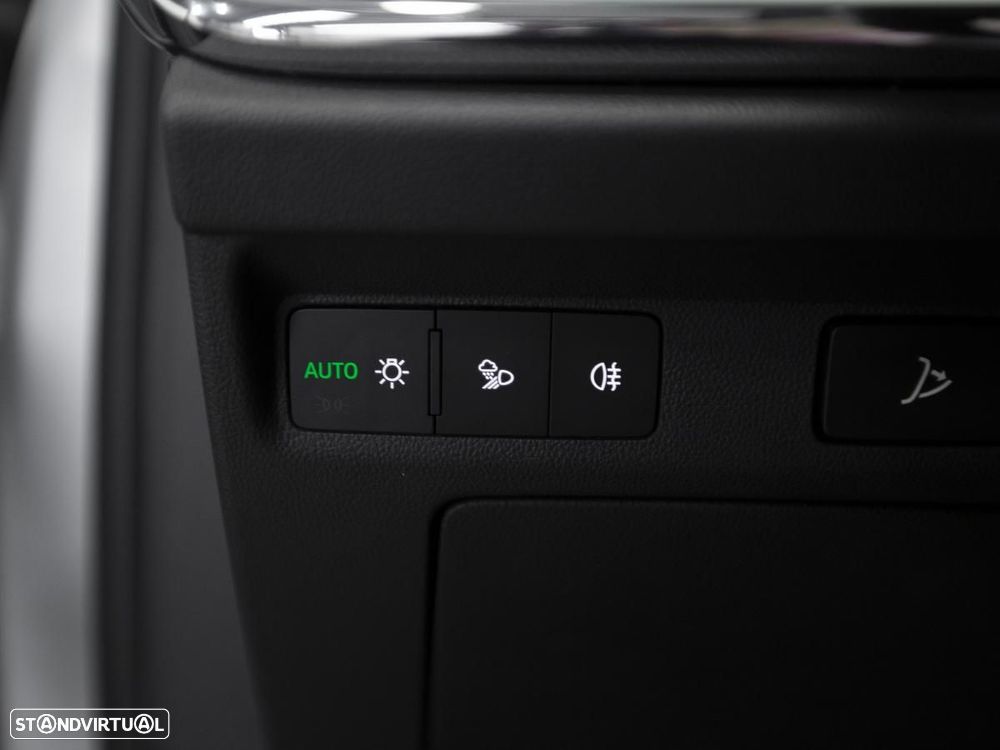 Skoda Enyaq 85 Plus - 17