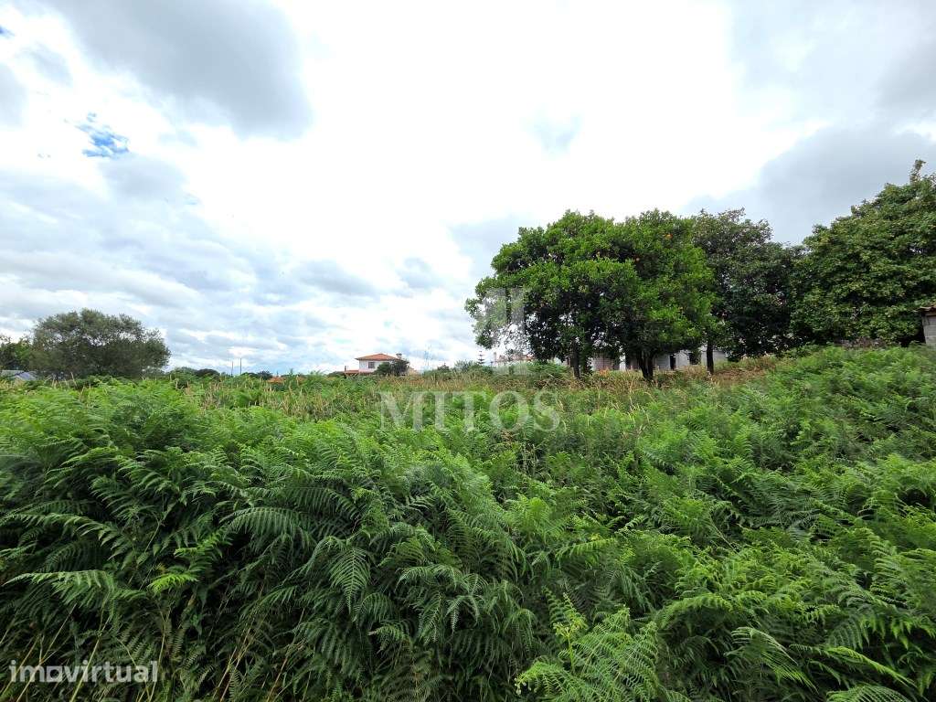 Terreno para construção à venda em Darque - Viana do Castelo - Grande imagem: 5/6