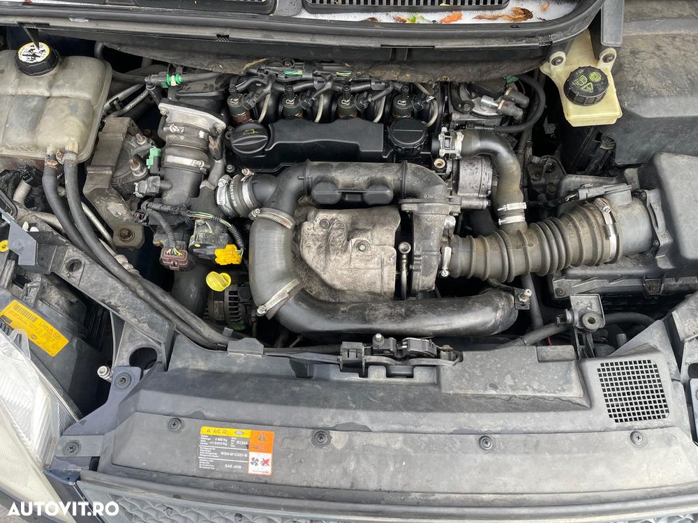 Ford Focus - 5