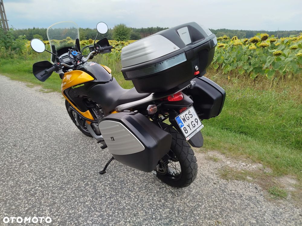 Honda Transalp - 7