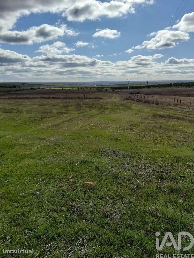Terreno Agrícola em Baleizão - Grande imagem: 3/4